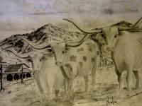 Longhorns - Pencil And Charcoal Drawings - By Robert Nowlin, Realism Drawing Artist