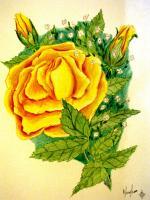 Flowers - Yellowrose - Colored Pencil