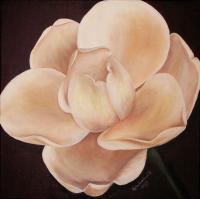 Floral - White Magnolia - Oil On Canvas
