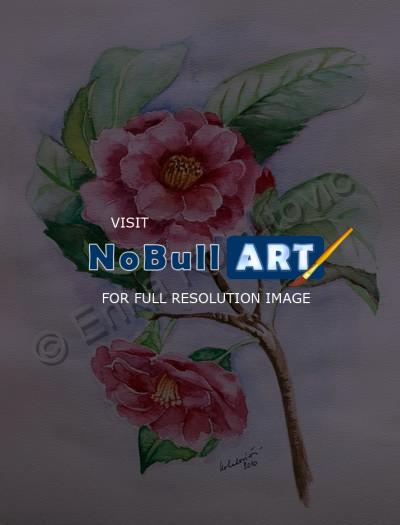 Floral - Camellia - Watercolor