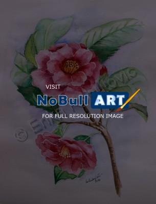 Floral - Camellia - Watercolor