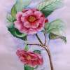 Camellia - Watercolor Paintings - By Erika Kohutovic, Floral Painting Artist