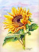 Sunflower - Watercolor Paintings - By Erika Kohutovic, Floral Painting Artist