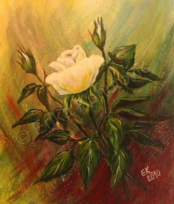 Floral - White Roses - Acrylics