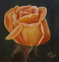 Yellow Rose - Acrylics Paintings - By Erika Kohutovic, Floral Painting Artist