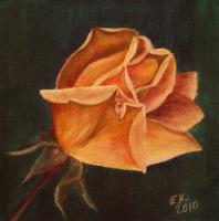 Yellow Rose - Acrylics Paintings - By Erika Kohutovic, Floral Painting Artist
