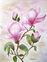 Magnolia - Watercolor Paintings - By Erika Kohutovic, Floral Painting Artist