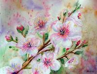 Floral - Apple Blossom - Watercolor