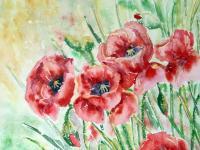 Floral - Poppy Field - Watercolor