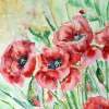 Poppy Field - Watercolor Paintings - By Erika Kohutovic, Floral Painting Artist