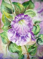 Bindweed - Watercolor Paintings - By Erika Kohutovic, Floral Painting Artist