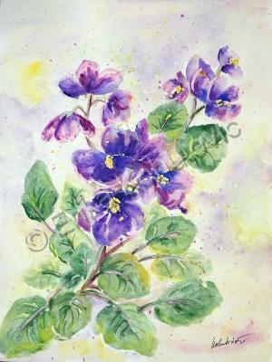 Floral - Violets - Watercolor