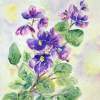 Violets - Watercolor Paintings - By Erika Kohutovic, Floral Painting Artist