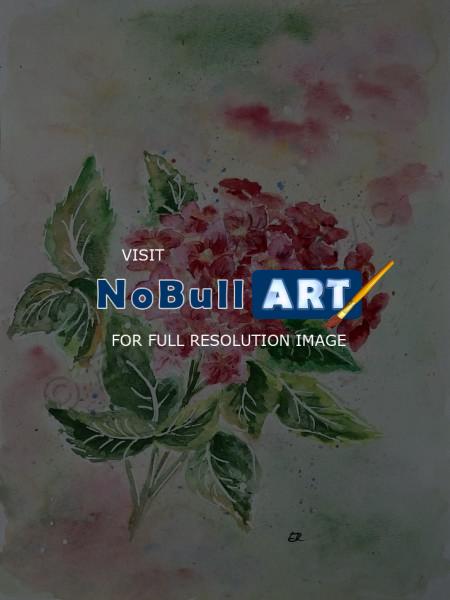 Floral - Hydrangea - Watercolor