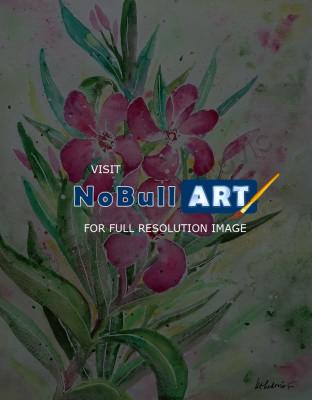 Floral - Oleander - Watercolor