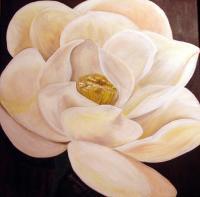 White Magnolia - Oil On Canvas Paintings - By Erika Kohutovic, Floral Painting Artist