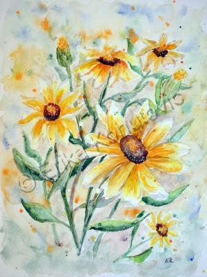 Floral - Sunflowers - Watercolor