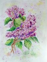 Lilac - Watercolor Paintings - By Erika Kohutovic, Floral Painting Artist