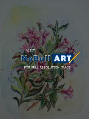 Floral - Weigela - Watercolor