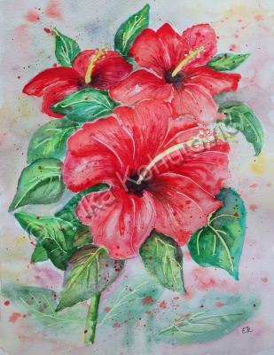 Floral - Red Hibiscus - Watercolor