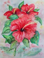 Red Hibiscus - Watercolor Paintings - By Erika Kohutovic, Floral Painting Artist