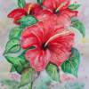 Red Hibiscus - Watercolor Paintings - By Erika Kohutovic, Floral Painting Artist