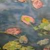 Colorful Lily Pads - Oil On Canvas Paintings - By Rosamalia Bujase, Impressionism Painting Artist