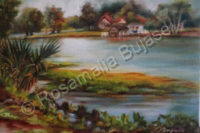 Landscapes - Lake Maitland - Oil On Canvas