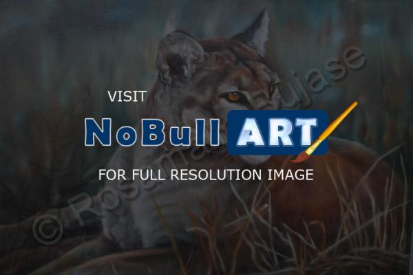 Animals - Cougar - Oil On Canvas