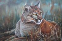 Cougar - Oil On Canvas Paintings - By Rosamalia Bujase, Realism Painting Artist