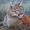 Cougar - Oil On Canvas Paintings - By Rosamalia Bujase, Realism Painting Artist