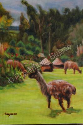 Animals - Llamas In San Pablo Del Lago - Oil On Canvas