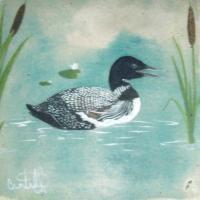Loon - Stains Paintings - By Craig Cantrell, Traditional Painting Artist