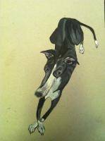 Sighthound Love - Loyal - Acrylic