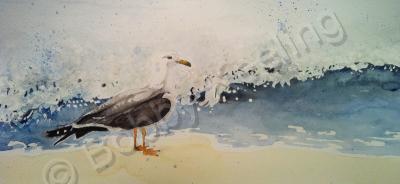 Sea Land And Sky - Seagull At Surf - Watercolour