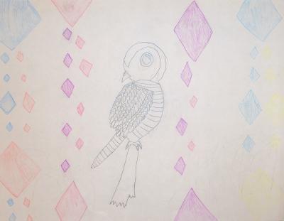 Drawings - An Owl - A Random Picture