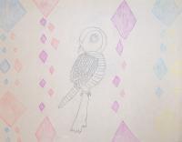 Drawings - An Owl - A Random Picture