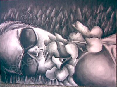 People - Relaxing In The Sun - Charcoal