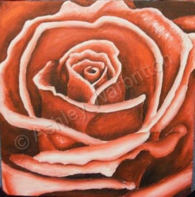 Flowers - Simply Rose - Acrylic