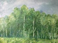 Nature - Birch Grove - Oil On Canvas