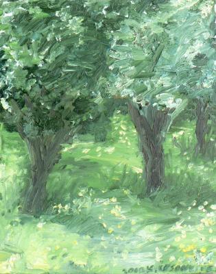 Nature - Summer - Oil On Canvas