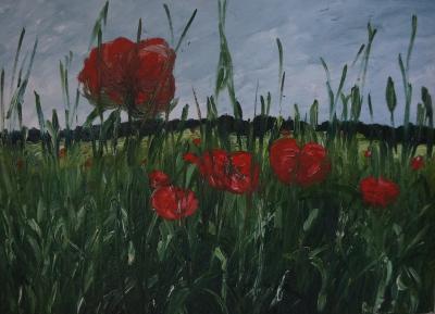 Nature - Poppy Seed - Oil On Canvas