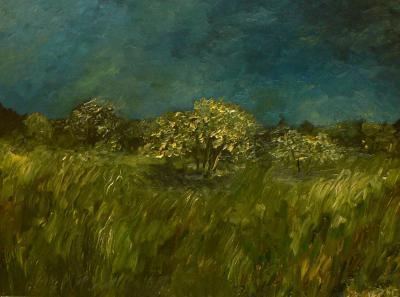 Nature - Field And Forest - Oil On Canvas