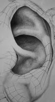 Structured Ear - Graphite Drawings - By Zoe Cappello, Drawing Drawing Artist