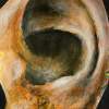 Ear Collage - Mixed Media Mixed Media - By Zoe Cappello, Collage Mixed Media Artist