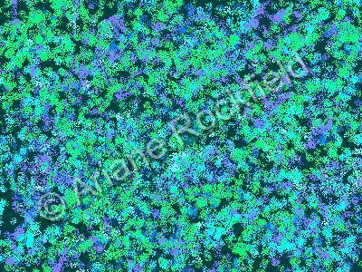 Abstraction - Blue Flowers Of The Field - Computer