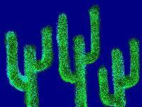 Cactus6 - Computer Digital - By Ariane Rockfield, Conceptual Digital Artist