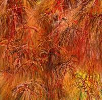 Harvest - Computer Digital - By Ariane Rockfield, Post-Modern Digital Artist