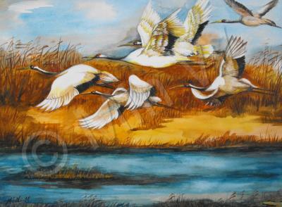 Landscape - Marsh Flight - Water Color