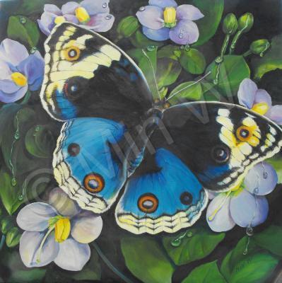 Nature - Butterfly Series 1 - Oil On Canvas